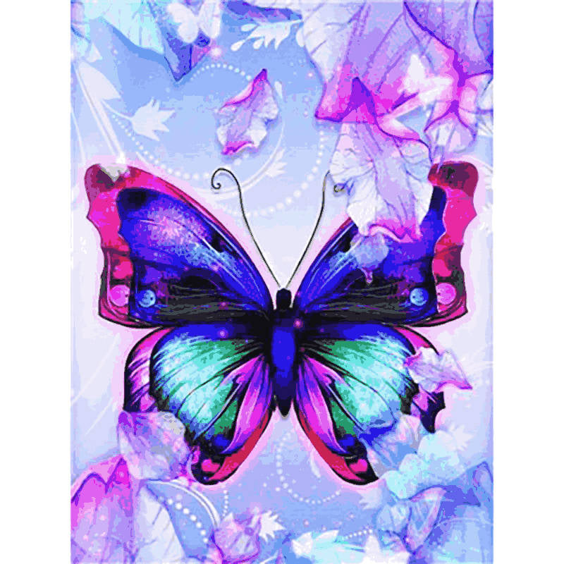 5D Butterfly