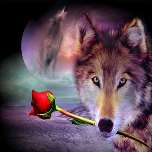 Rose Flower Wolf Diamond Painting